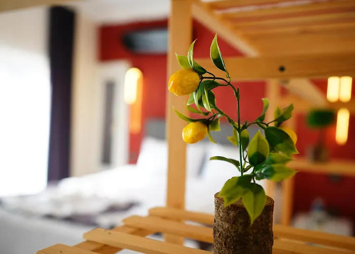 The Galata Guest house *